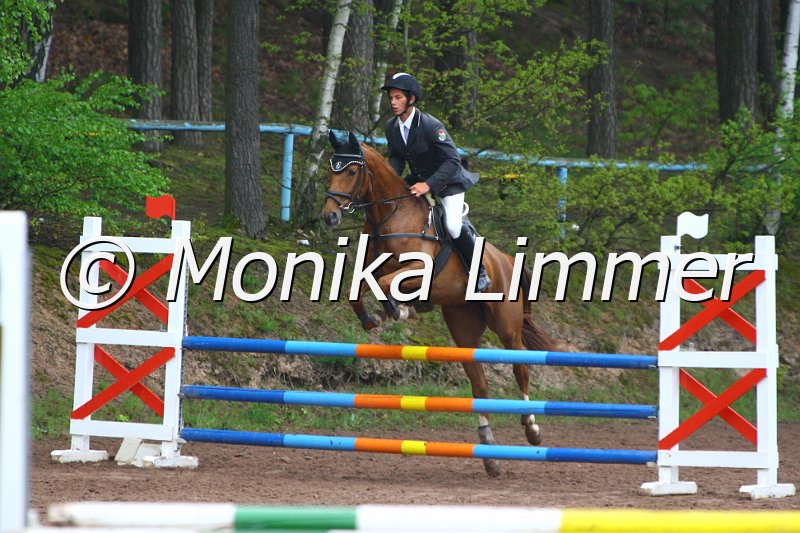 005L4732_Riverdance_Springpferde A xx.JPG